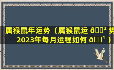 属猴鼠年运势（属猴鼠运 🌲 势2023年每月运程如何 🌹 ）